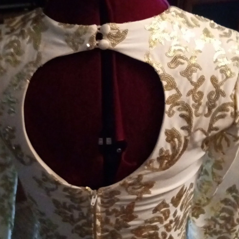 Holiday/Cocktail dress - Picture 4 of 5